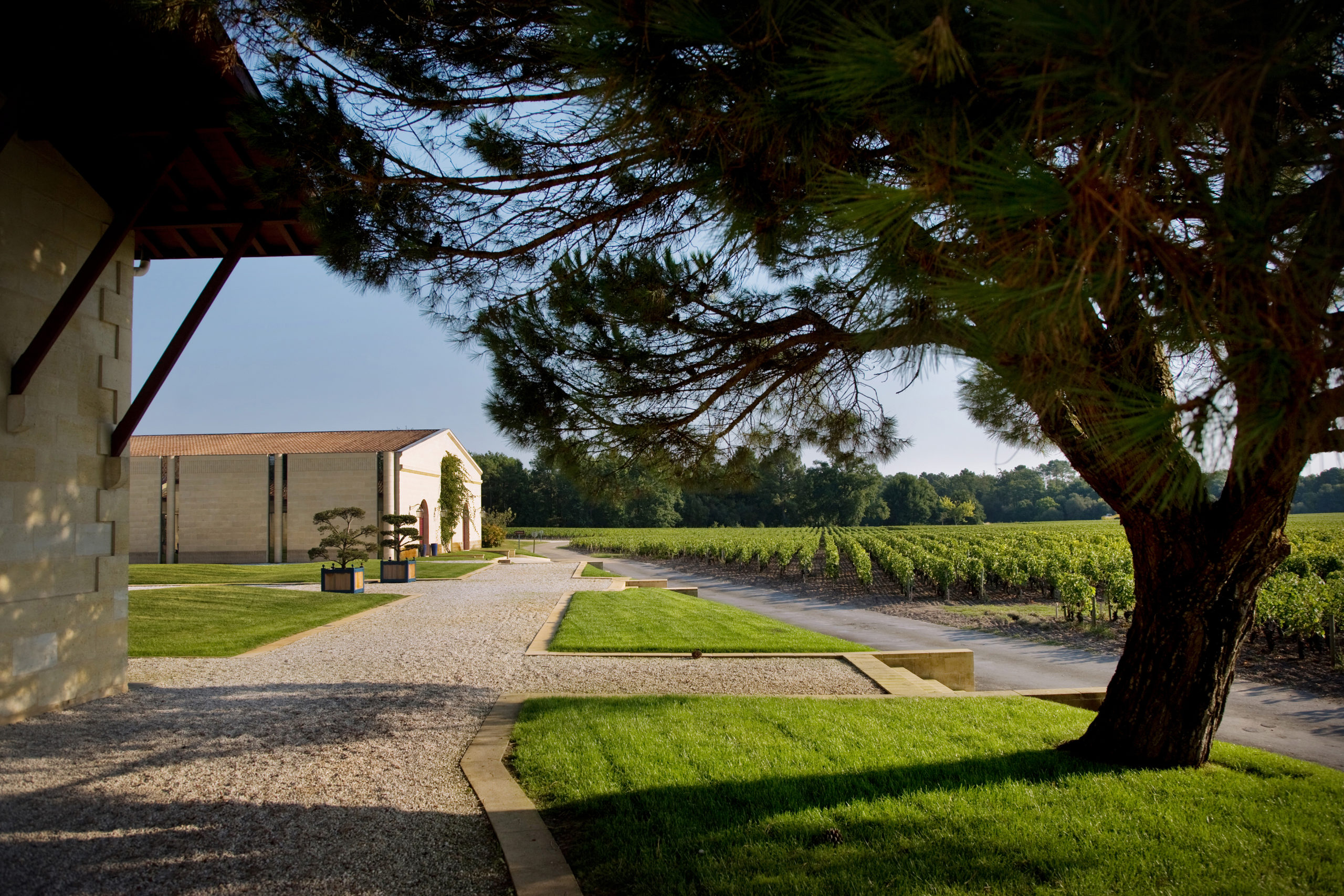 Domaine de Chevalier